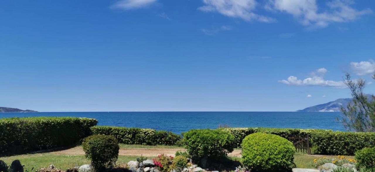 Villa I Merli Nous Contacter Avant Reservation Saint-Florent  Exterior photo